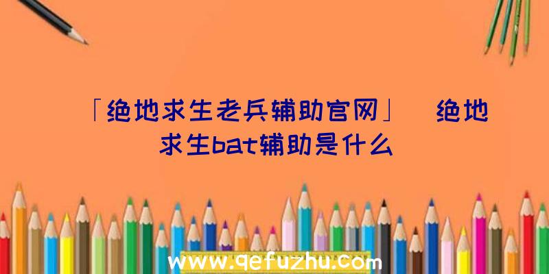 「绝地求生老兵辅助官网」|绝地求生bat辅助是什么